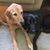 Marybeth Lizewski's profile image