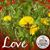 Robert L Ledlow's profile image