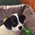 Christine MacPhail's profile image