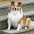 Jim Hice's profile image