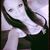 Savannah Cravens's profile image