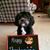 Linda Schoenbeck Parlin's profile image