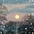 Lisa G. Kelso's profile image