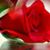 Josefa Ronquillo's profile image