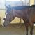 Jodie Beardsley's profile image