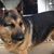 Diane Branham's profile image