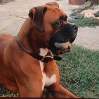 Tiffany Ruble's profile image