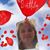 Crystal Sullivan's profile image