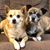 Terri Presper's profile image