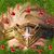 Jan Owens's profile image