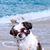 Cathy Carroll's profile image