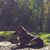 Kathleen Pellette's profile image