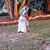 Amanda Brooks's profile image