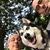 John Perrone's profile image