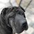 Tammy Bousquet's profile image