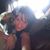 Jenny Egan's profile image
