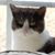 Lyn Madec's profile image