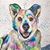 Holly DeArmond Andrews's profile image