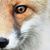 Randy Byers's profile image