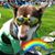 Rachel Bartlett's profile image