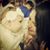 Michelle Lagarda Sierra's profile image