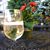 Heidi Reichert Reed's profile image