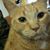 Kathryn Elkind's profile image
