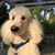 Marsha McElroy's profile image