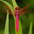 Karen Giddens's profile image