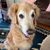 Val Begay's profile image