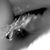 Lloyd von Senden's profile image