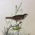 Cathy Mclafferty's profile image