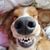 Stephen Parker's profile image