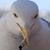 Blake Cotton's profile image