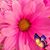 Mary Brott's profile image