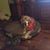 Patty Knepper's profile image