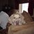 Tammy Shick's profile image