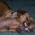 Sally R. Pinkham's profile image
