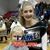 Hollie Devane Taylor's profile image