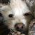 Victoria Peeker Barry's profile image