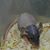 Shawna Reed's profile image