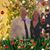 Annie Marie Dowd's profile image