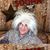 Chris Craft's profile image