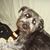 Hatter Kibblesworth's profile image