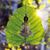 Jude Johnson-Shupe's profile image
