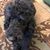 Sue Berzelius's profile image