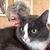 Terita Hill Wilson's profile image