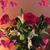 Elena Perez's profile image