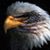Justin Stewart's profile image