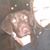 Laurene Poor's profile image